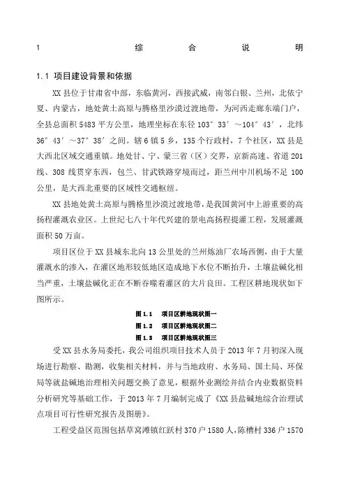 地盐碱地综合治理可研报告