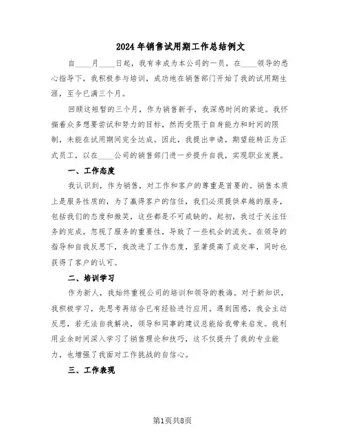 2024年销售试用期工作总结例文（5篇）