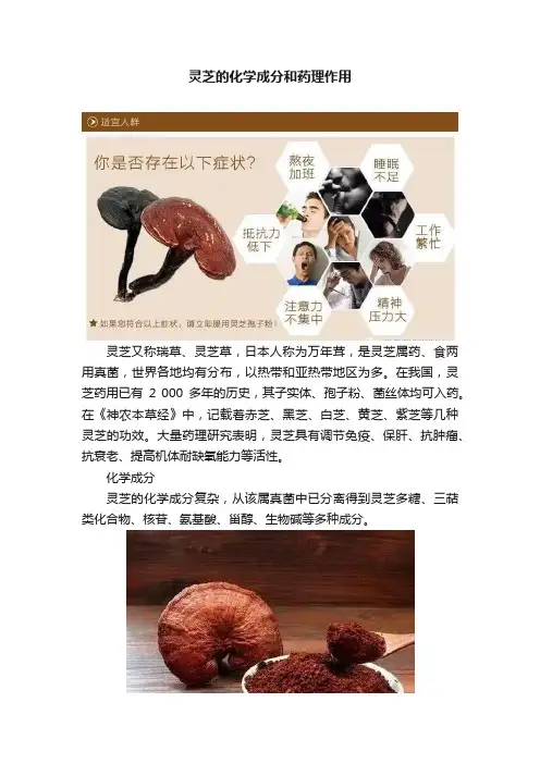 灵芝的化学成分和药理作用