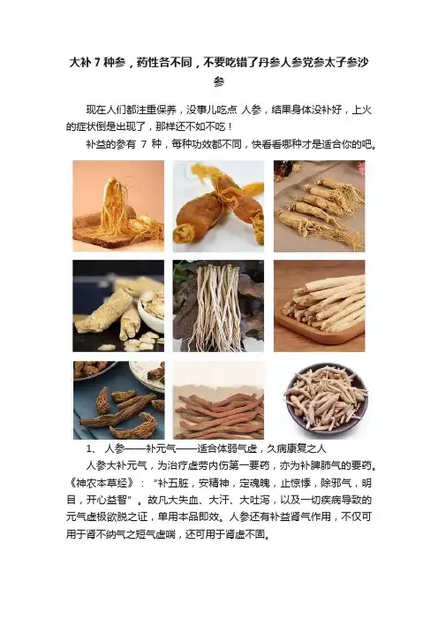 大补7种参，药性各不同，不要吃错了丹参人参党参太子参沙参