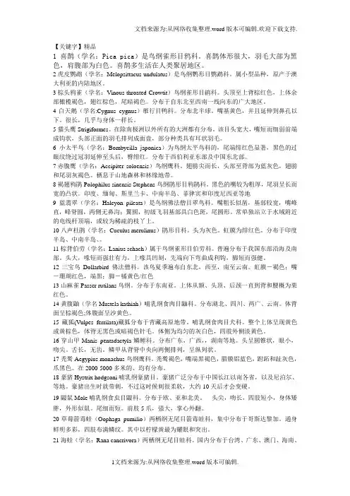 【精品】100种动物1