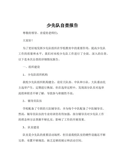 少先队自查报告