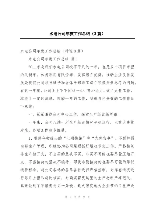 水电公司年度工作总结(3篇)