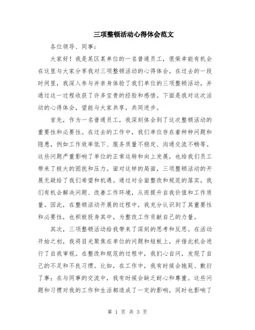 三项整顿活动心得体会范文