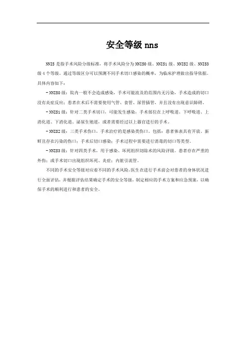 安全等级nns
