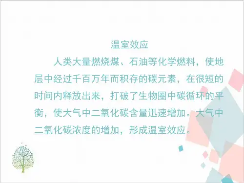 人教版《探究环境污染对生物的影响》_优秀课件