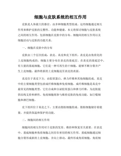 细胞与皮肤系统的相互作用