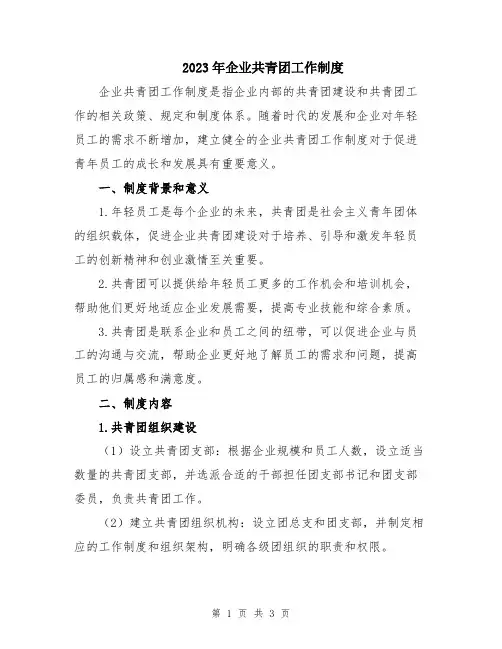 2023年企业共青团工作制度