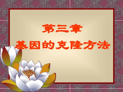 基因的克隆方法ppt课件