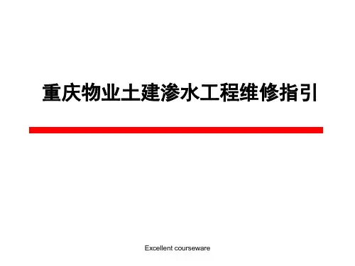 (精编课件)渗水实例及处理方法.ppt