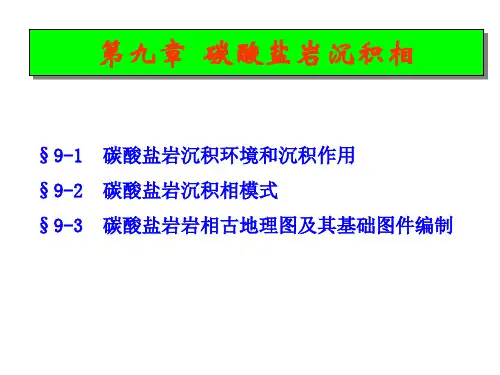 第九章   碳酸盐岩沉积相