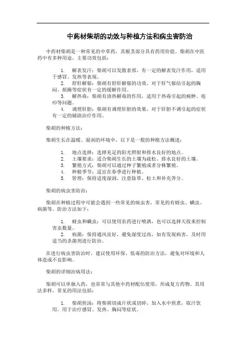 中药材柴胡的功效与种植方法和病虫害防治