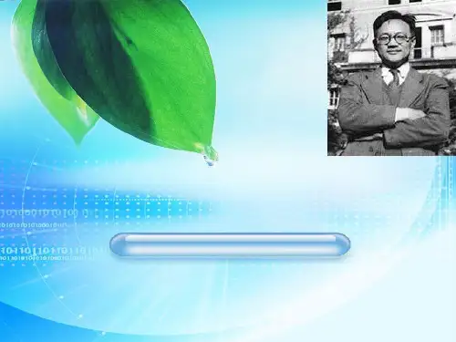 巴金简介 ppt课件