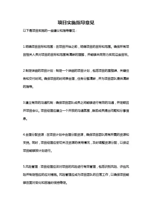 项目实施指导意见