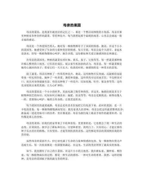 母亲的菜园