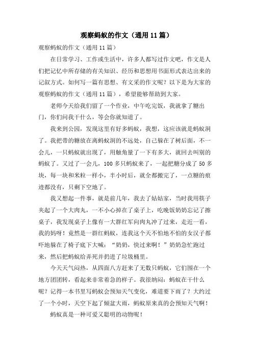 观察蚂蚁的作文(通用11篇)