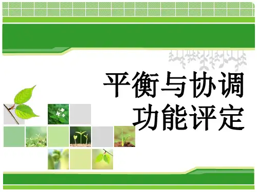 平衡与协调功能评定 ppt课件