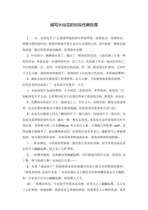 描写水仙花的句段优美段落
