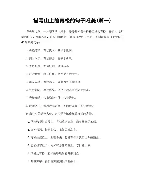 描写山上的青松的句子唯美(精选合集2篇)