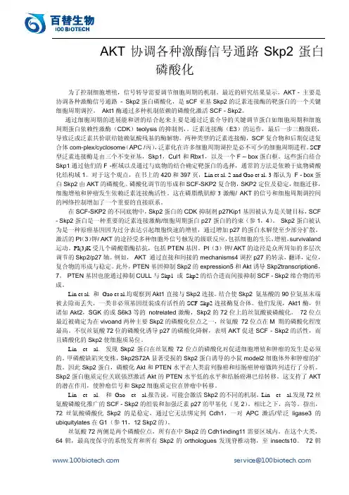 AKT协调各种激酶信号通路Skp2蛋白磷酸化_百替生物