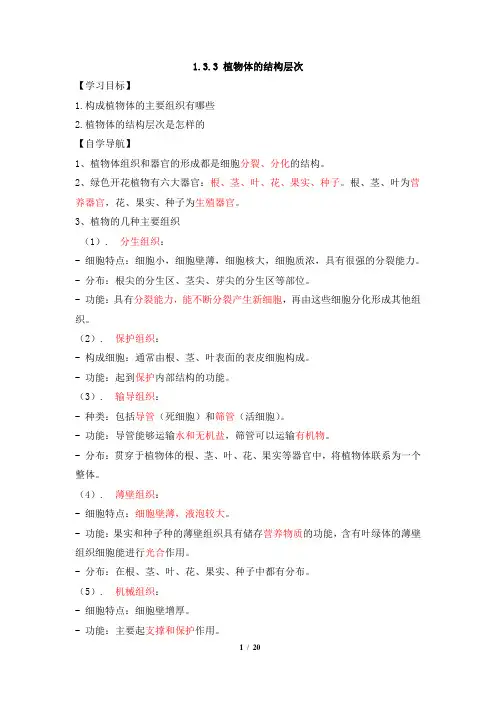 《植物体的结构层次》每课一练(解析版)