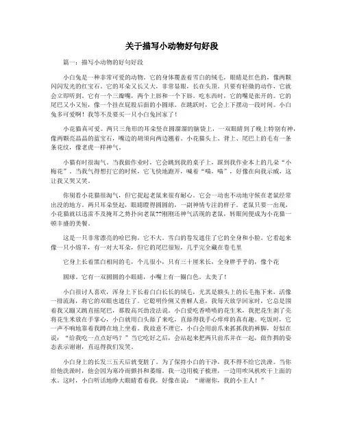 关于描写小动物好句好段
