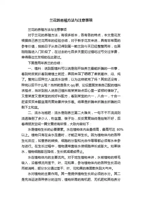 兰花的养殖方法与注意事项