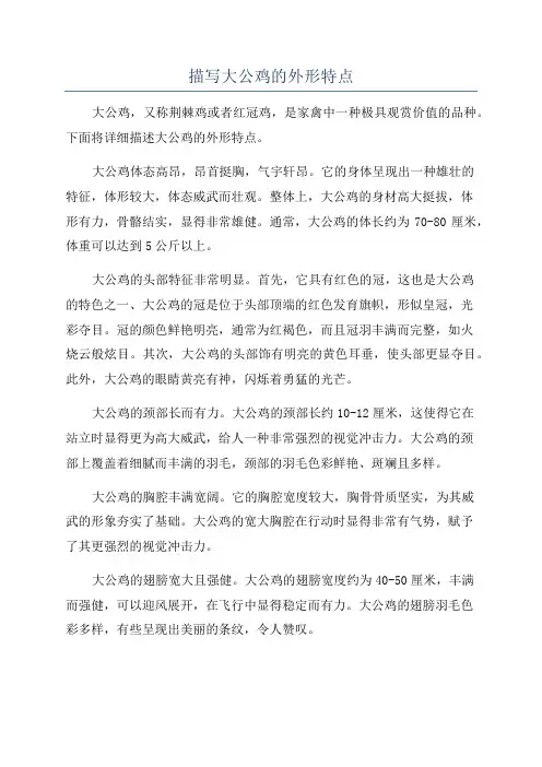 描写大公鸡的外形特点
