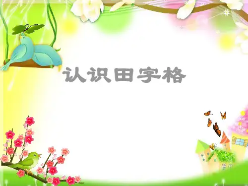 认识田字格