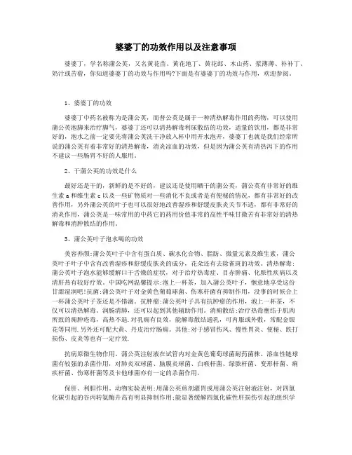 婆婆丁的功效作用以及注意事项