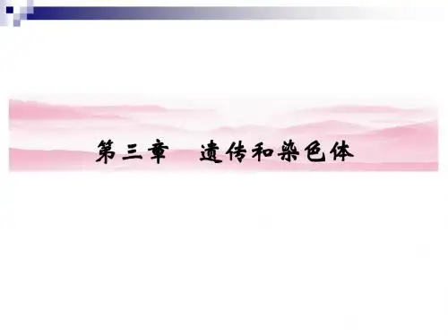 苏教版必修二 基因的分离定律课件(54张)