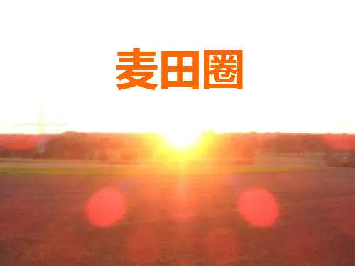 麦田怪圈
