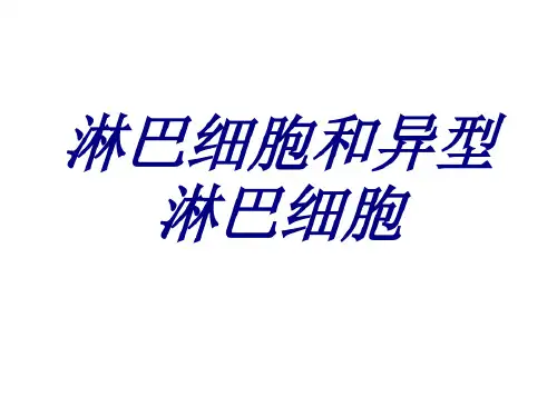 淋巴细胞和异型淋巴细胞培训-2022年学习资料