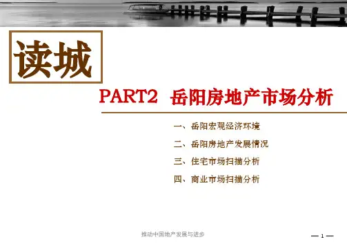 岳阳房地产及商业市场分析报告解读