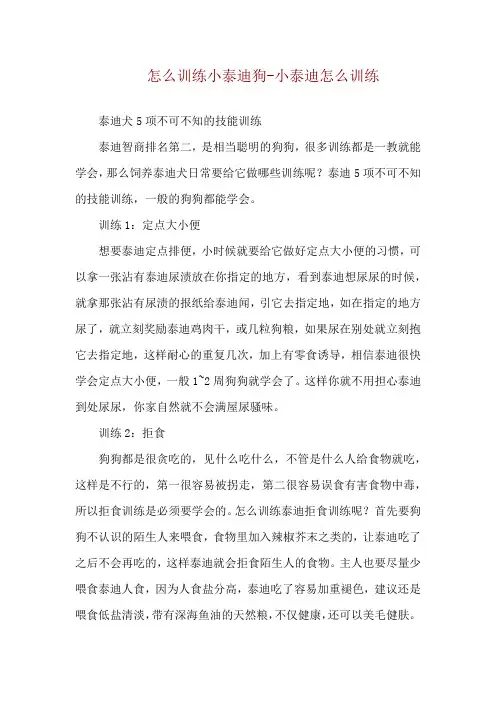 怎么训练小泰迪狗-小泰迪怎么训练