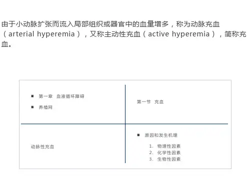 病理学-血液循环障碍
