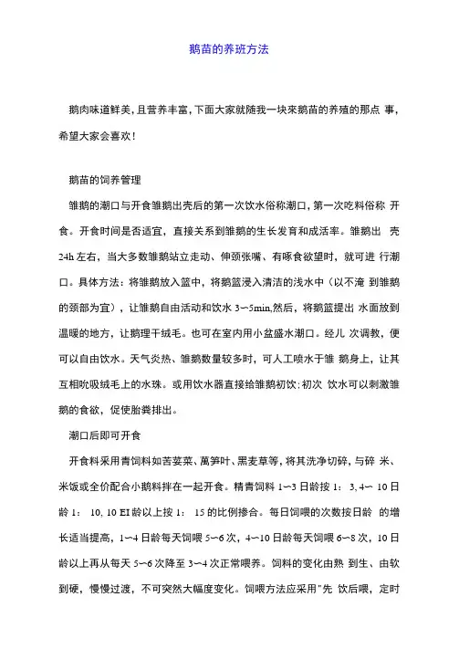 鹅苗的养殖方法