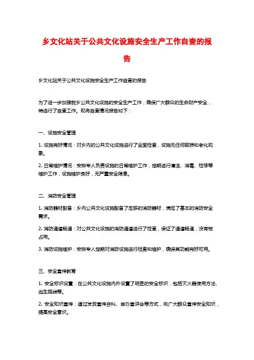 乡文化站关于公共文化设施安全生产工作自查的报告