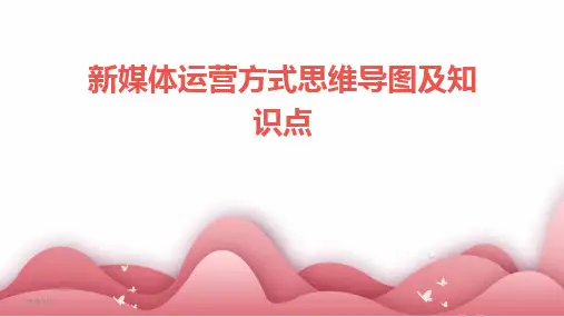 2024版年度新媒体运营方式思维导图及知识点
