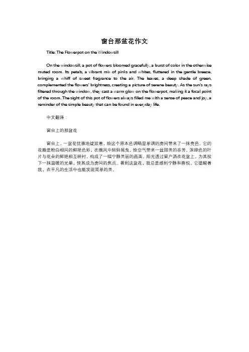 窗台那盆花作文