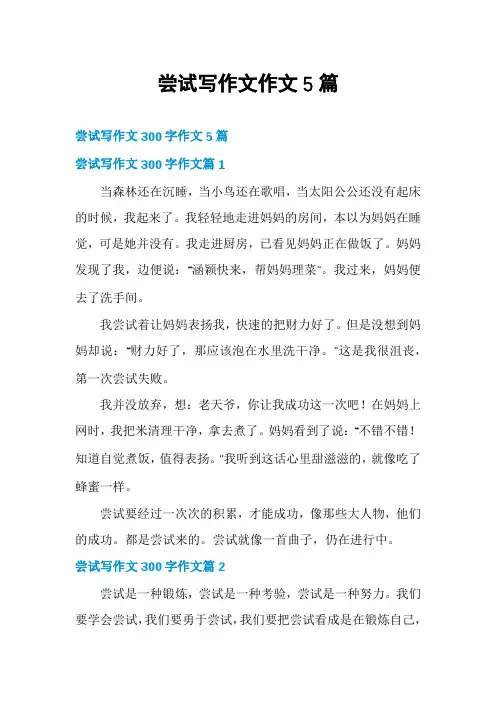 尝试写作文作文5篇