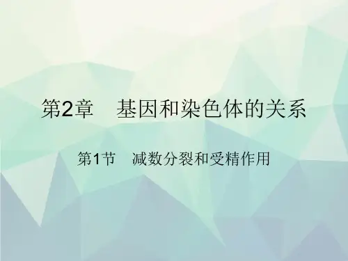 减数分裂与受精作用完整版