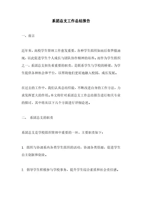 系团总支工作总结报告