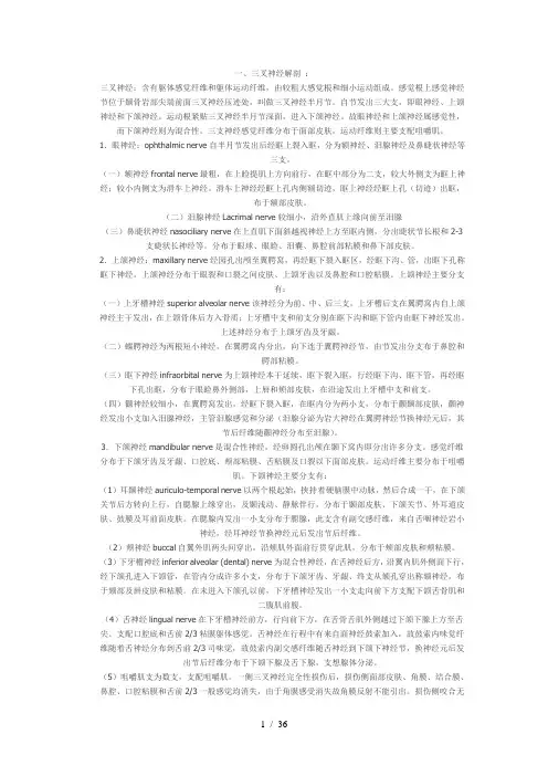 三叉神经的解剖