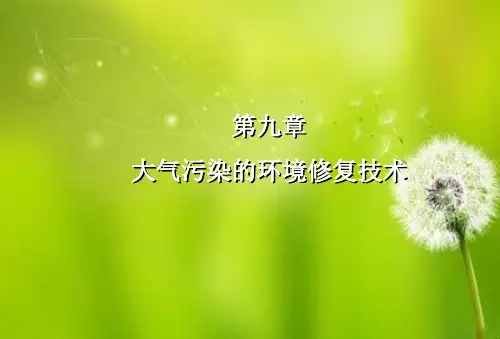 大气污染的环境修复技术.ppt