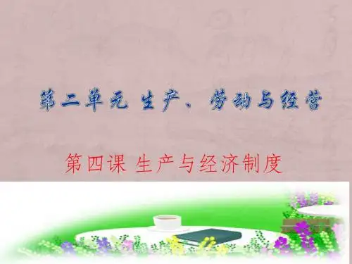 第四课 生产与经济制度复习教案23ppt