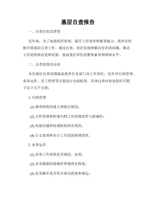 基层自查报告