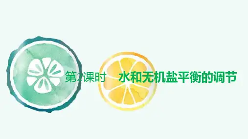 高中生物选修1(新教材)优质课件：3-3-2 水和无机盐平衡的调节 人教版