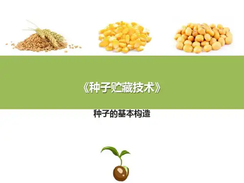 种子生物学和生理生化基础—种子形态和构造