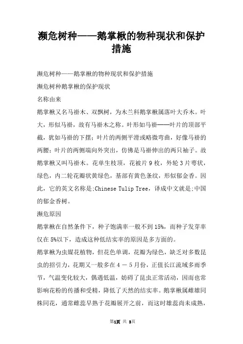 濒危树种——鹅掌楸的物种现状和保护措施